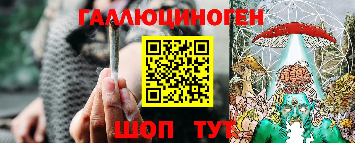 Тутаев  Галлюциногенные грибы Psilocybe  Вход с VPN 